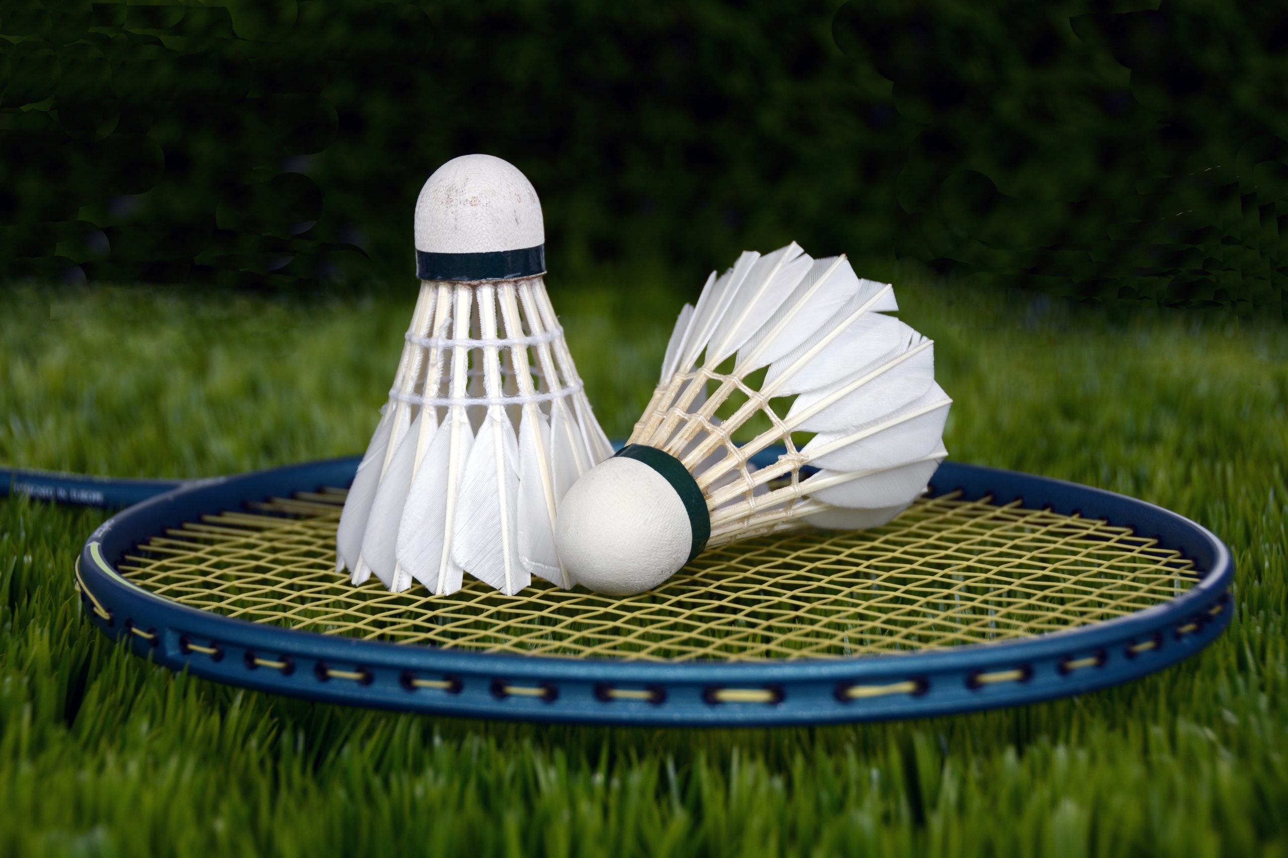 anncapictures-badminton-1428047