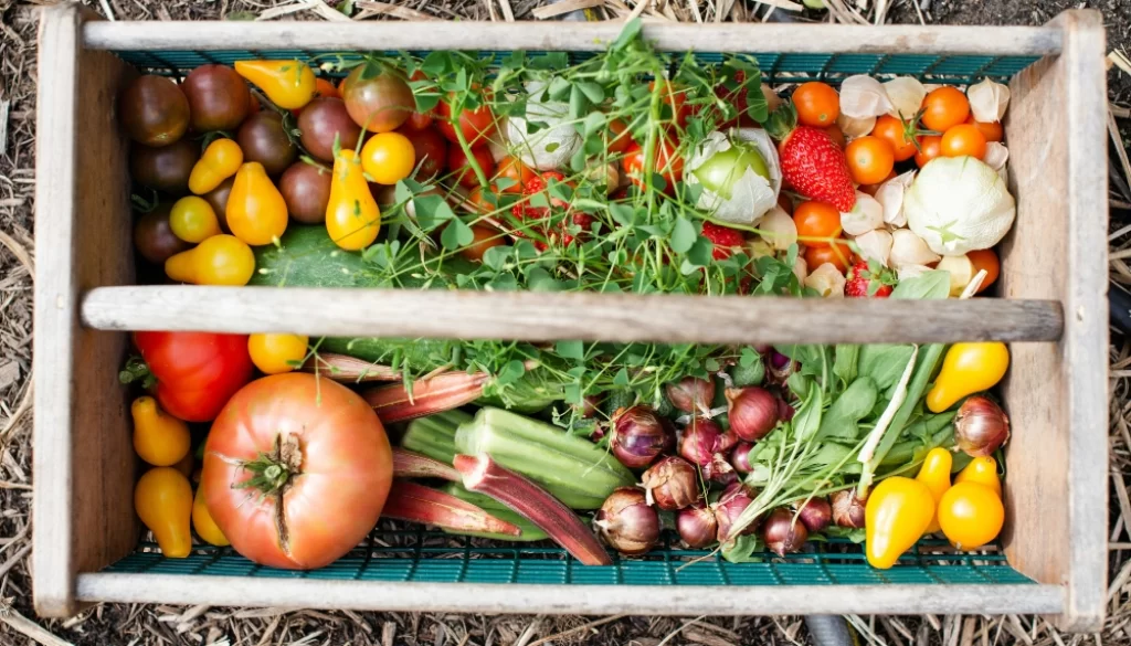 harvested-produce