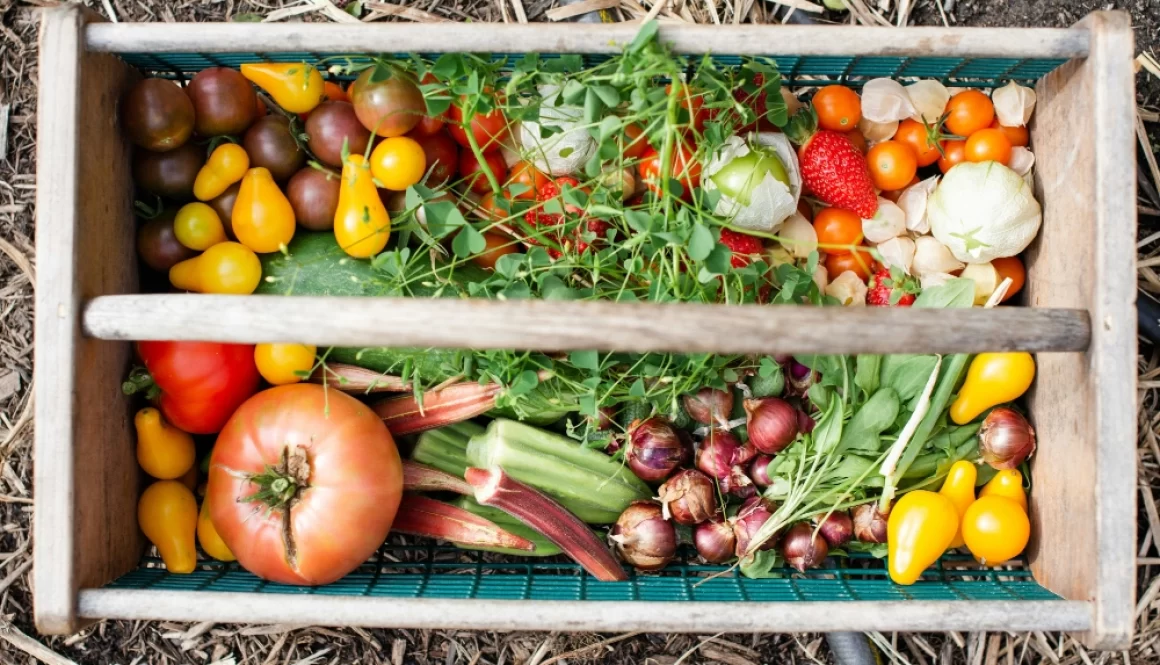 harvested-produce